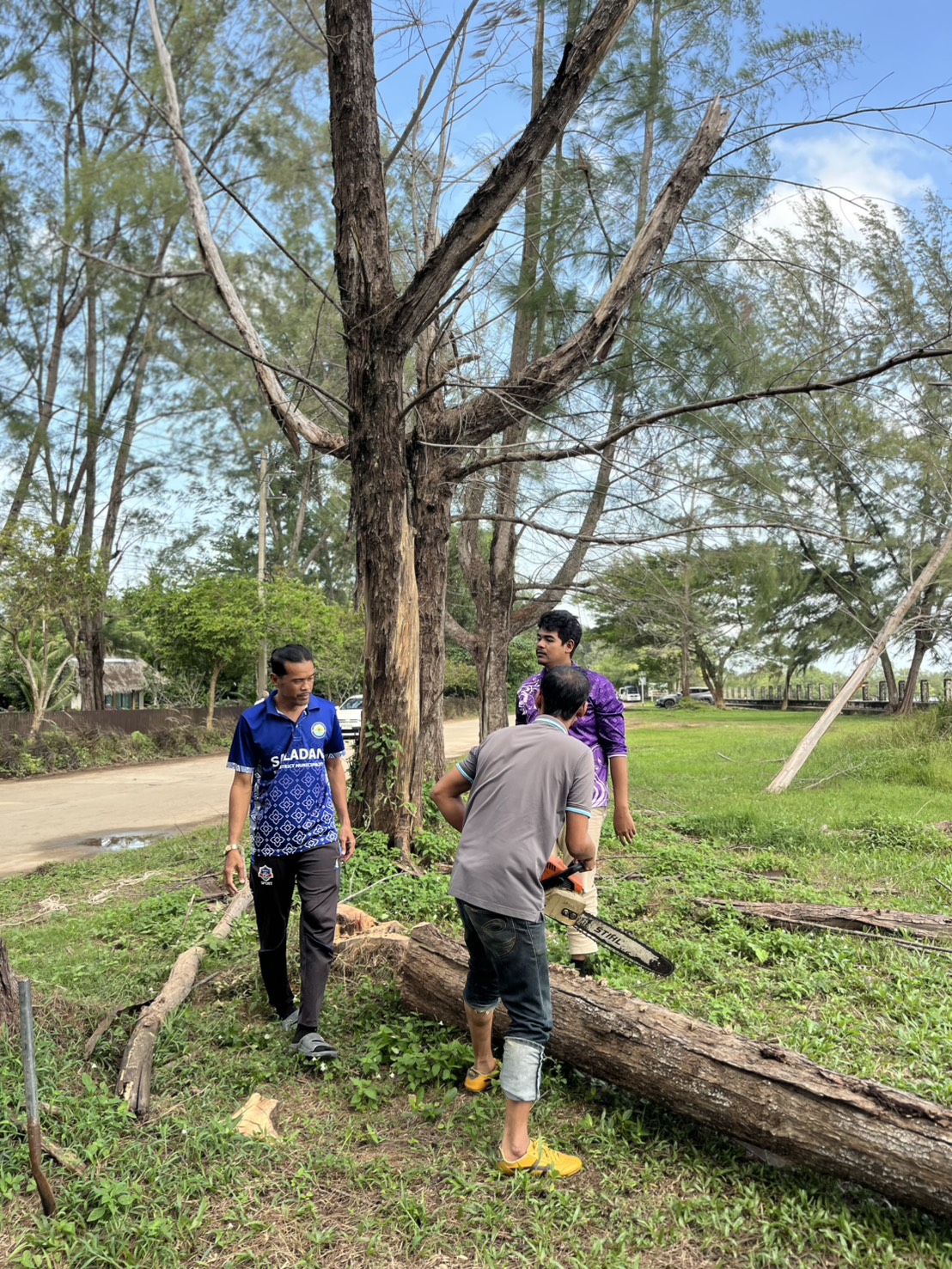 ทต.ศาลาด่าน ตัดแต่งต้นไม้ข้างทางถนนเส้นทางหาดคอกวางบริเวณใกล้โรงแรมทวินเบย์ ปรับภูมิทัศน์ ป้องกันสาธารณภัย เพื่อประชาชนและนักท่องเที่ยวสัญจรผ่านได้อย่างปลอดภัย